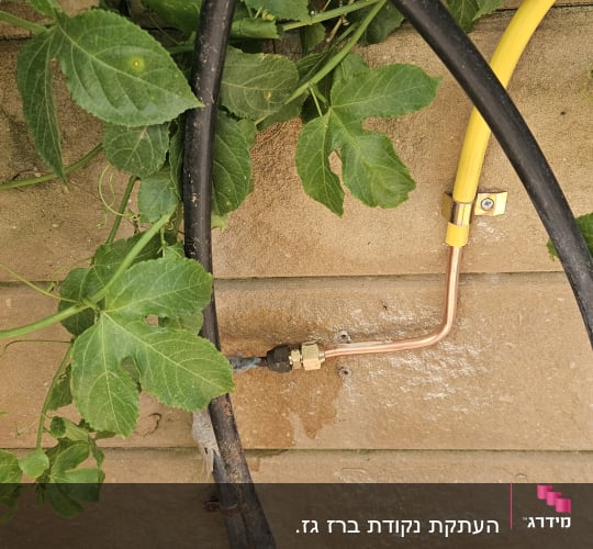 צינור גז נחושת עם חיבור לקיר